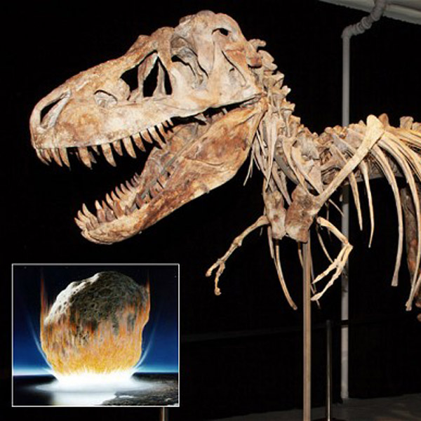 археология, динозавры, вымирание, катастрофа, Динозавры вымерли вследствие бунта природы и удара астероида