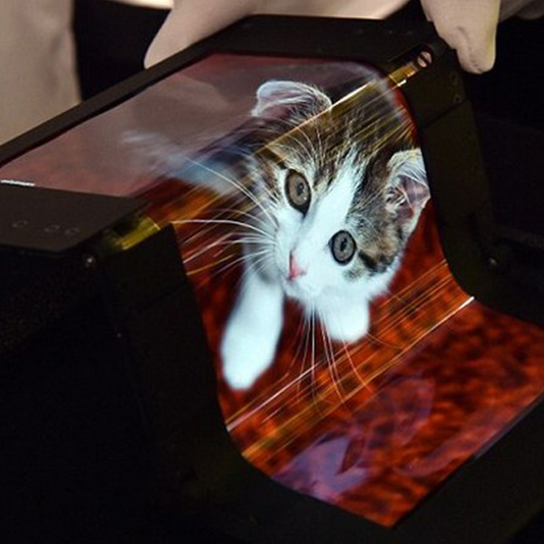 дисплей, В Японии создан необычайно гибкий  OLED-дисплей
